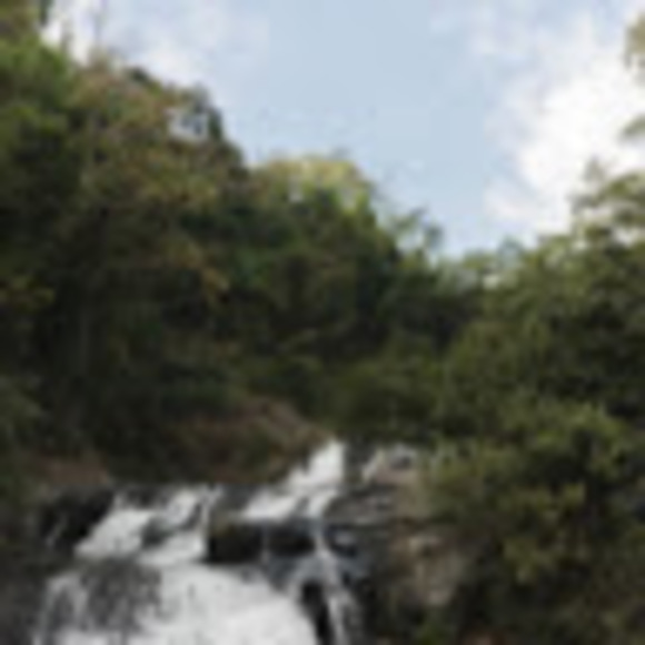 Meet your Posher, Dana - Picture 1 of 1